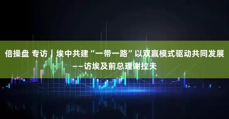 倍操盘 专访｜埃中共建“一带一路”以双赢模式驱动共同发展——访埃及前总理谢拉夫
