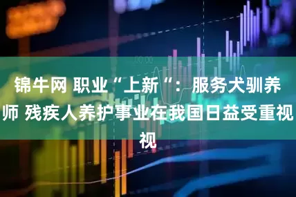 锦牛网 职业“上新“：服务犬驯养师 残疾人养护事业在我国日益受重视